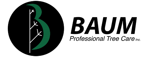 Baum Tree Care Logo