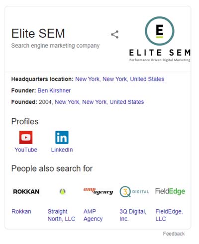 Brand-Specific Knowledge Graph Panel on the SERP