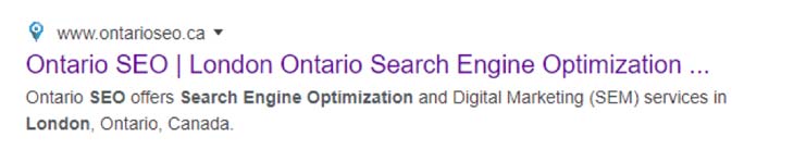 Organic Search listing on the Google Search Engine Results Page